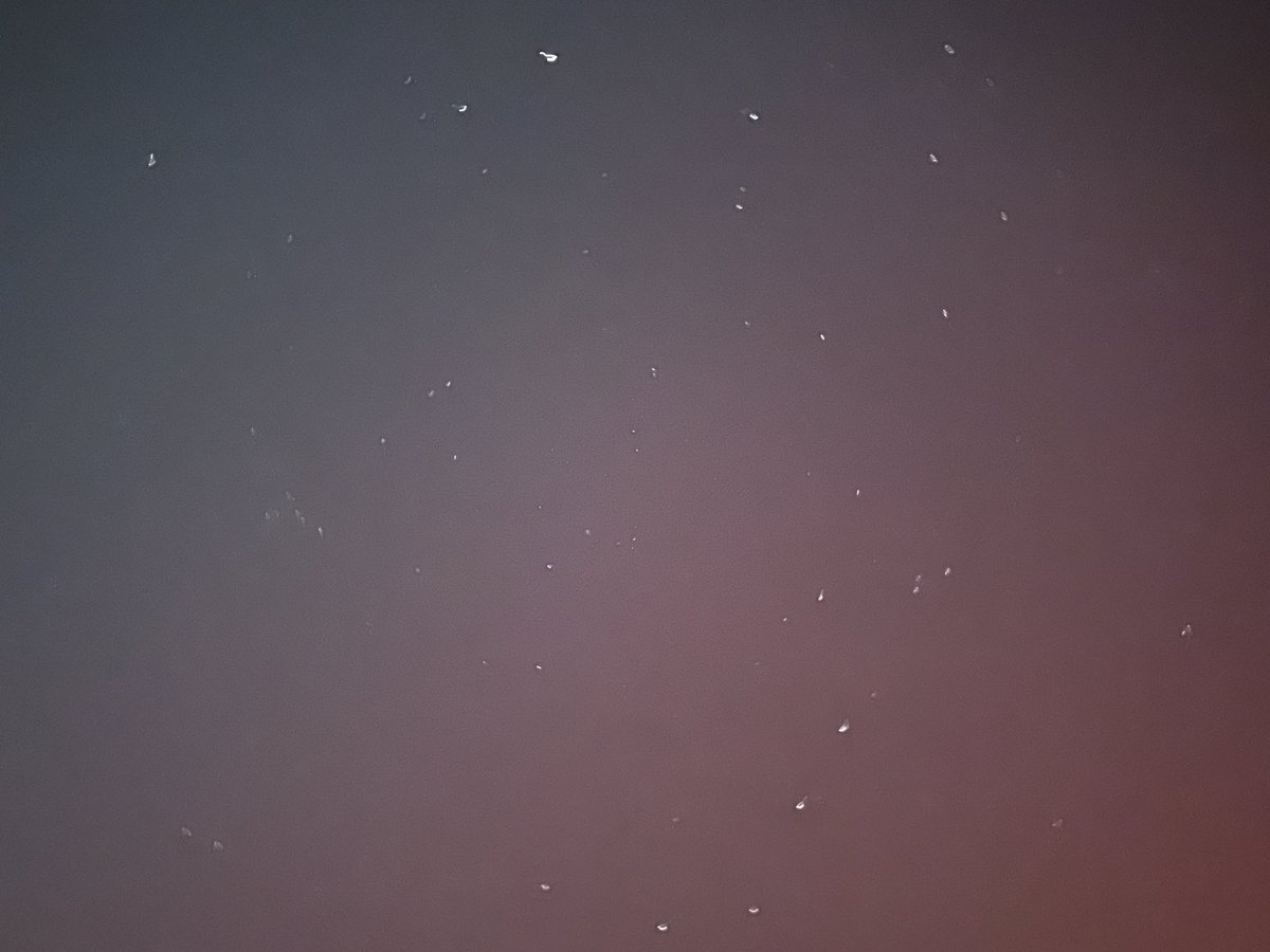 Channieswall_e's tweet photo. Let’s spread some stars for our Chan 💕
Thank you for everything you have done for the members, the staff, and for us Stays. 

These photos were from last year when we were able to see the northern lights in Florida. 
#GiveChanTheStars #Bestleader #Chanismyhome https://t.co/Lsb1OO742V