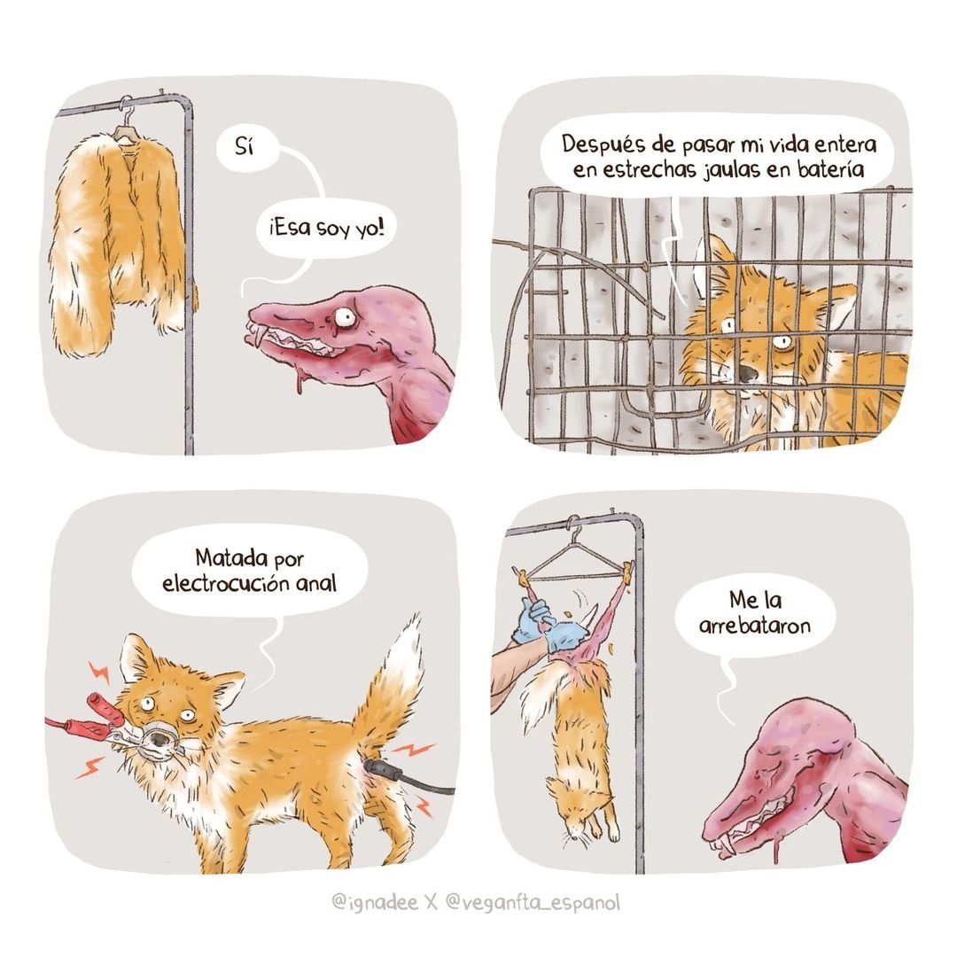 VeganFTAEspanol's tweet image. ¡Muestra compasión con la moda! 🚫🦊🐮🐑⁠

👉 Ayuda gratuita para hacerte vegan: veg22.co/FTA_Spanish

#pieles #cueronatural #modasostenible #zorros #furfree