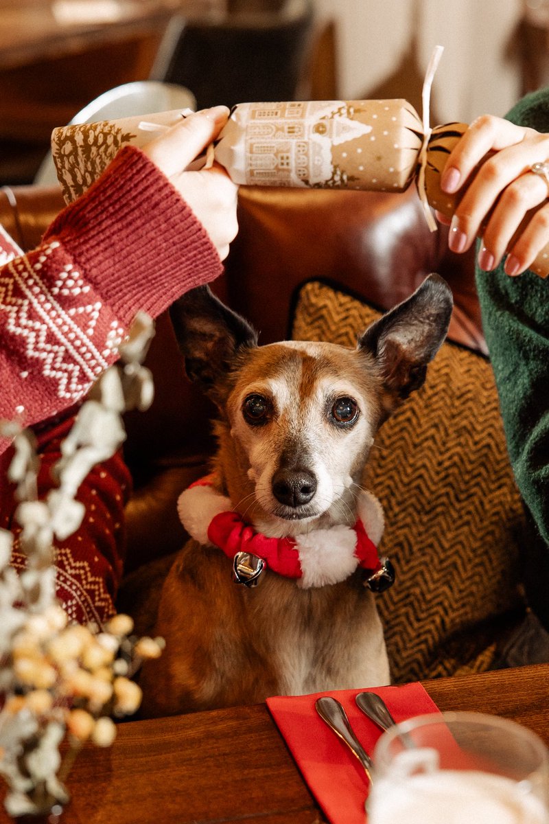 The Home Cottage tweet media