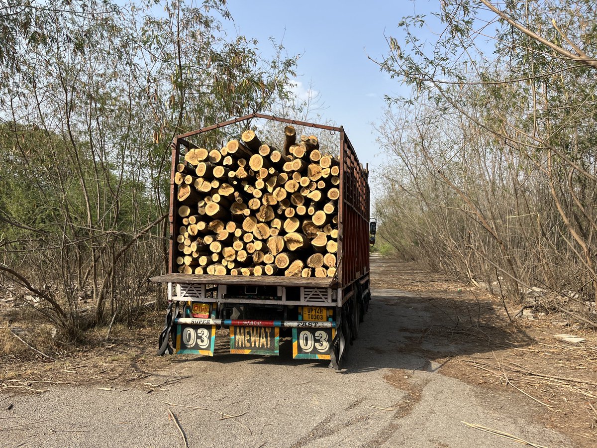 vikranttongad's tweet image. NGT’s Major Decision on the Illegal #Tree Cutting Case at DCM 🌳

Last year, more than 1K trees were illegally cut inside the closed #DCM factory premises in #Greater Noida. After multiple hearings, the Hon’ble NGT has now delivered an important and decisive order in this matter.