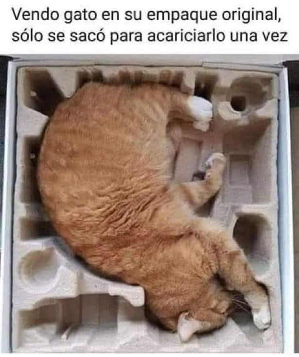 Ana_LaPatata (@ymuchosmemes) on Twitter photo 