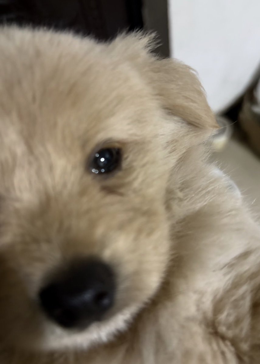 twaniimals's tweet image. 