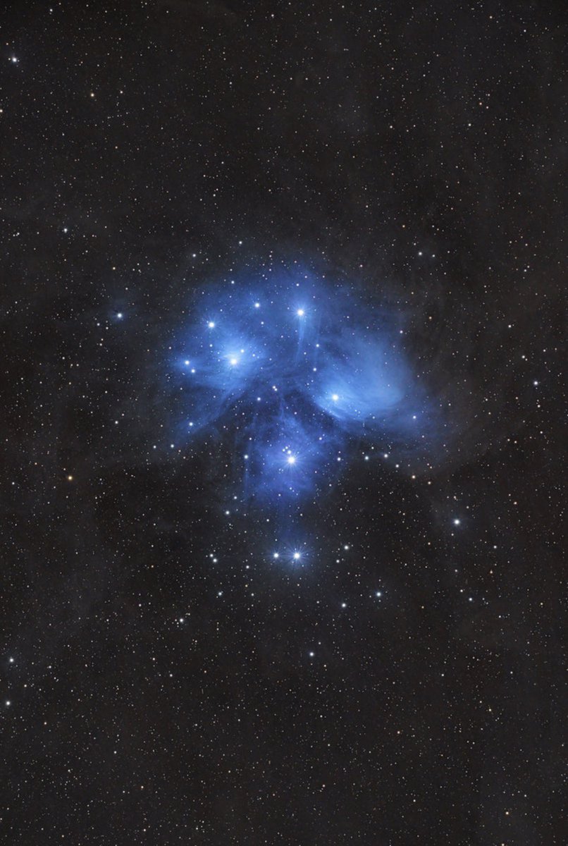 The Seven Sisters ✨