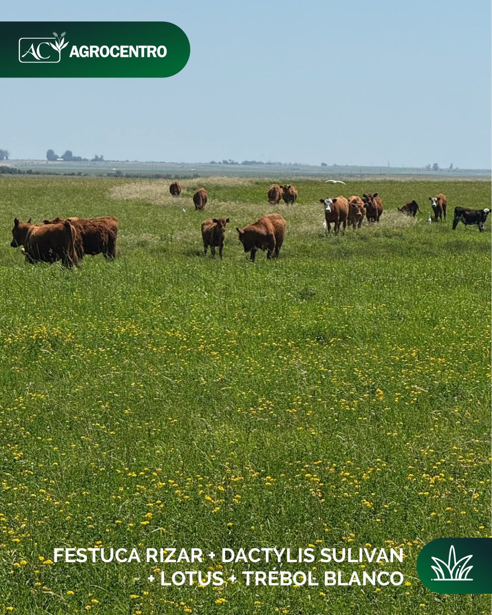 Agrocentro Uruguay tweet media