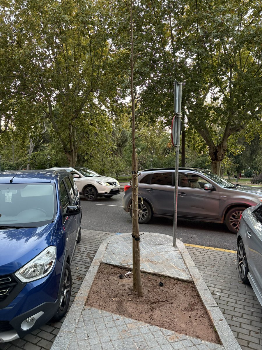 Desde la calle tweet media