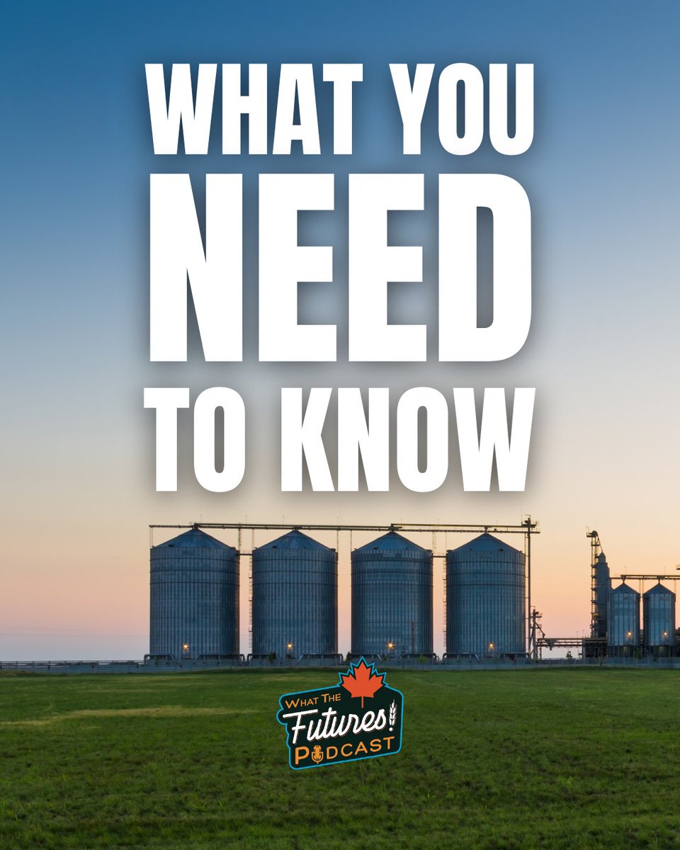 $8 peas + a wheat target that hit 33¢ above the posted price.

What you need to know:

Yellow peas are finally waking up. Bids are landing around $8 in AB, with some buyers coming in 25–30¢ stronger than expected. One major company even posted a bid 27¢ higher than where I