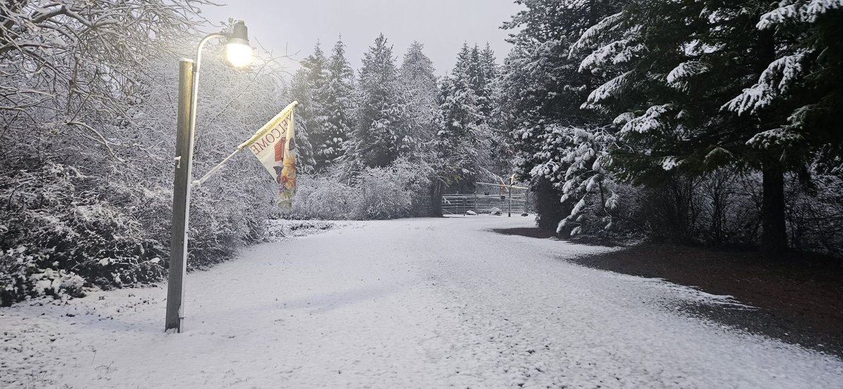 Hello Friday morning snow! Michael Niemi sent us his view of the north side of Hayden. Any valley snow out there should melt a little today as the sun comes out this afternoon. #northidaho #idwx