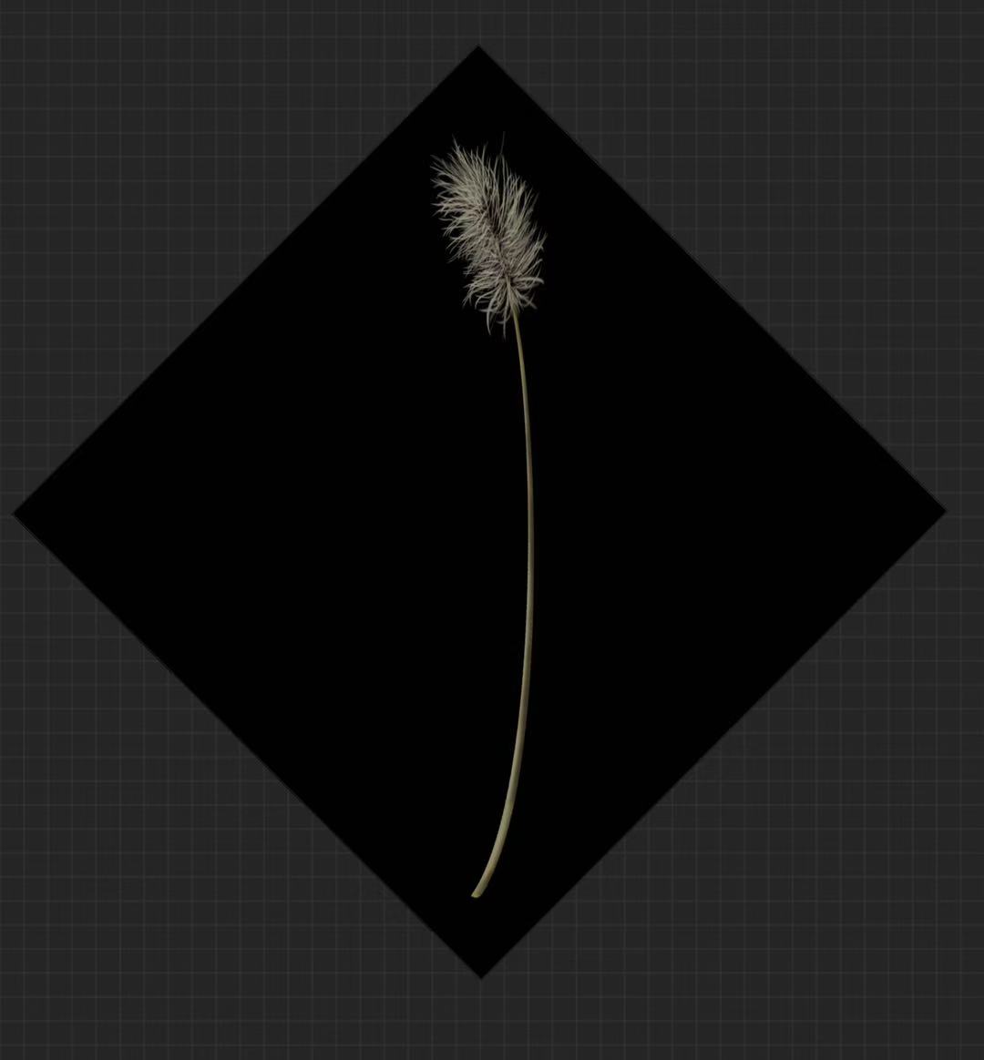 AnnaWhoShiyu's tweet image. Just finished painting these for the garden scene in the game &quot;Hide and Sink.&quot; Though I know AI can easily do that in 3 sec.
#indiegame #IndieGameDev #artmoots