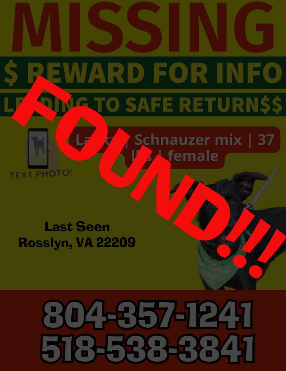 DCLuckyDog's tweet image. Layka has been found and is home safe! Thank you everyone!