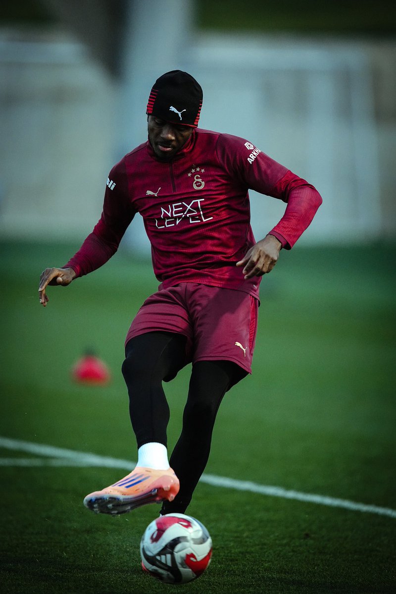 Geliyor gelmekte olan🦁