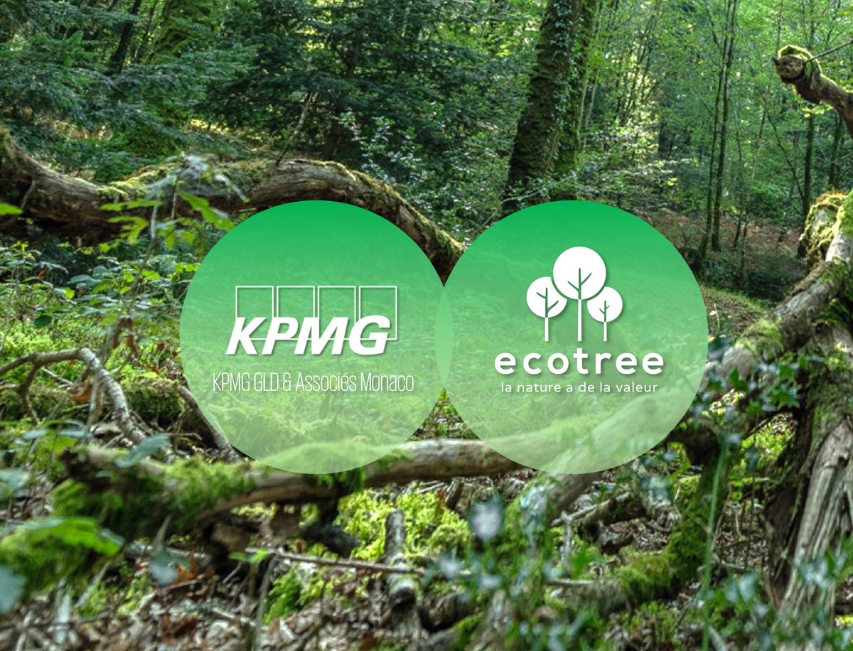 KPMG Monaco tweet media