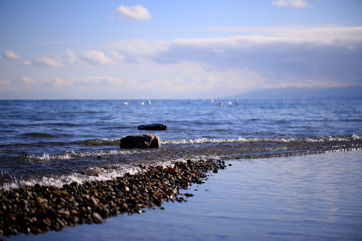 Ich summe "I walk the line" von Alien Sex Fiend und kriege nasse Füße.