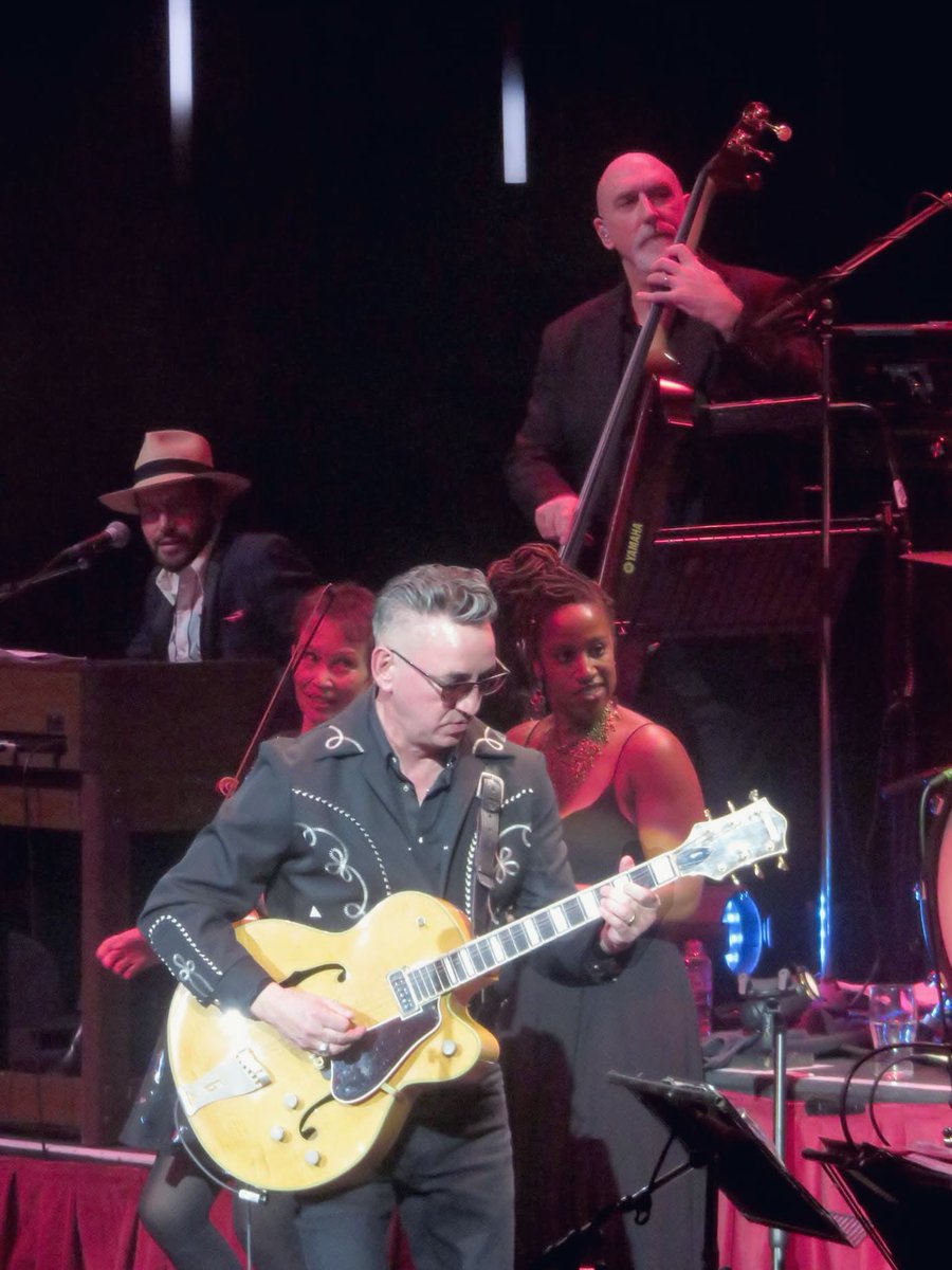 Christopher Holland 🎵 tweet media