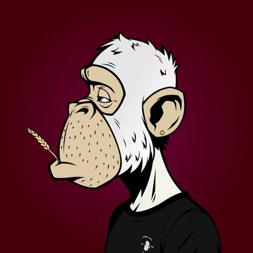 ScoopX565 tweet media