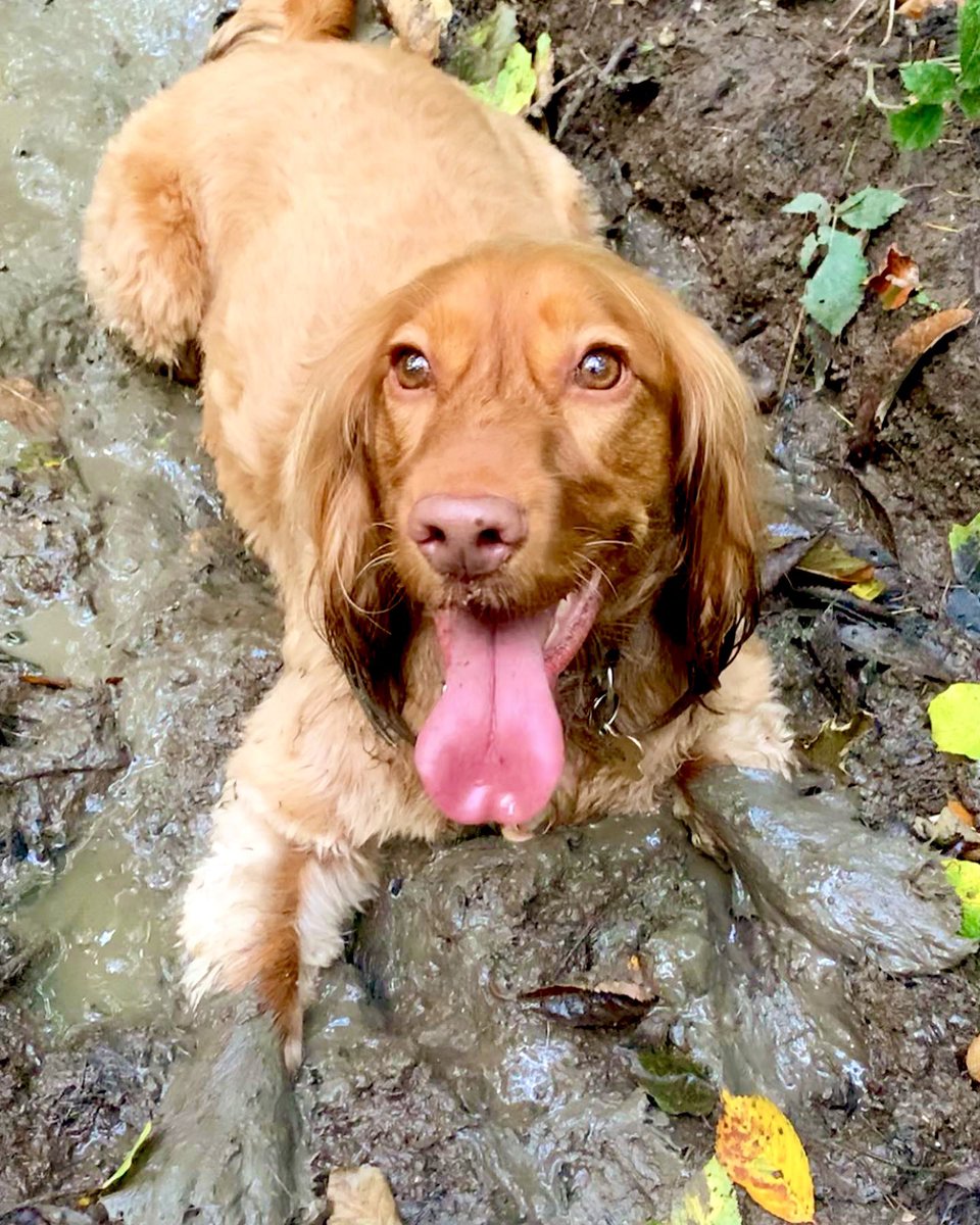 luelladevilles's tweet image. #CurrysPurpleFriday   This is my major concern 😆😆😆😆😆