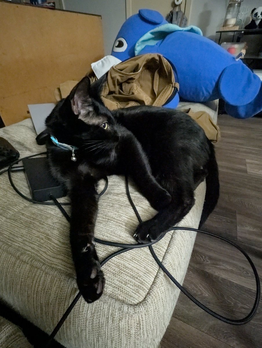 "there's evil afoot"