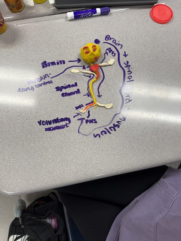 El Dorado HS tweet media