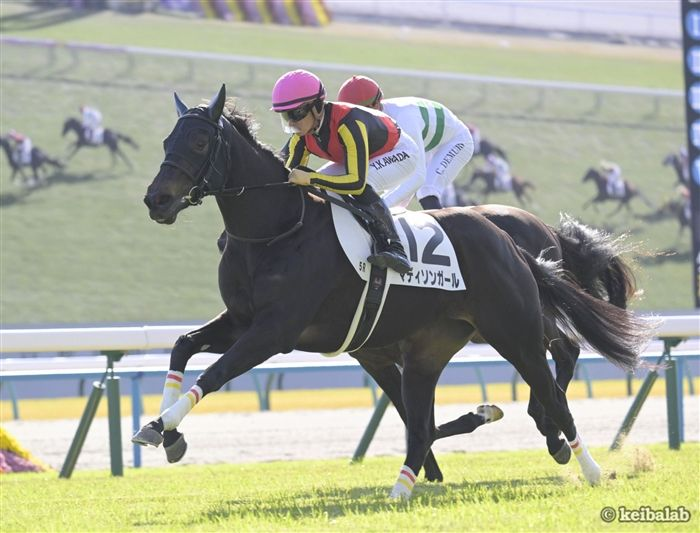 リバティアイランド