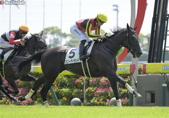 リバティアイランド♡4点セット リバティアイランド