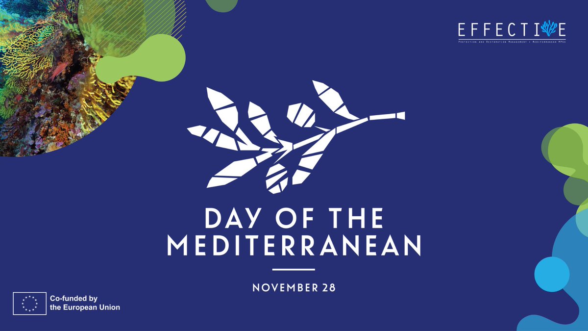 EFFECTIVE-Project tweet media