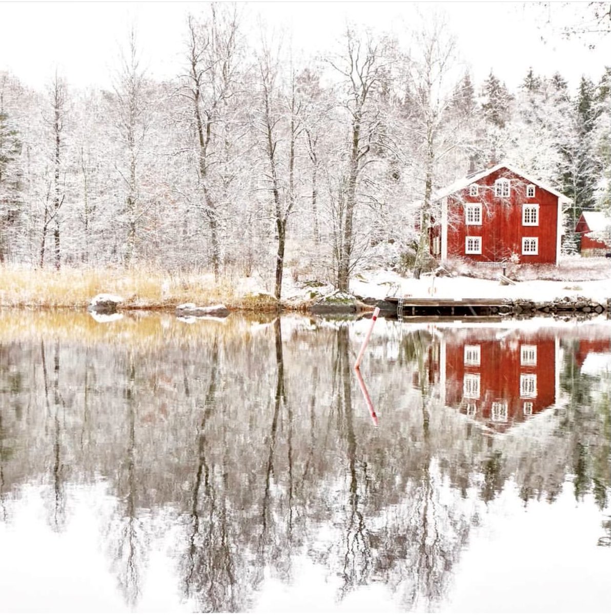 Buenos días y tarde para todos._ 

Fabuloso y maravilloso fin de semana. 

Debemos tener la perseverancia de la nieve que, cada invierno, intenta cubrir el mundo de pura belleza.

   Walter Launt Palmer.

 Amanecer silencioso.
Reflejos de invierno.

Mi📸 
©️Apn.