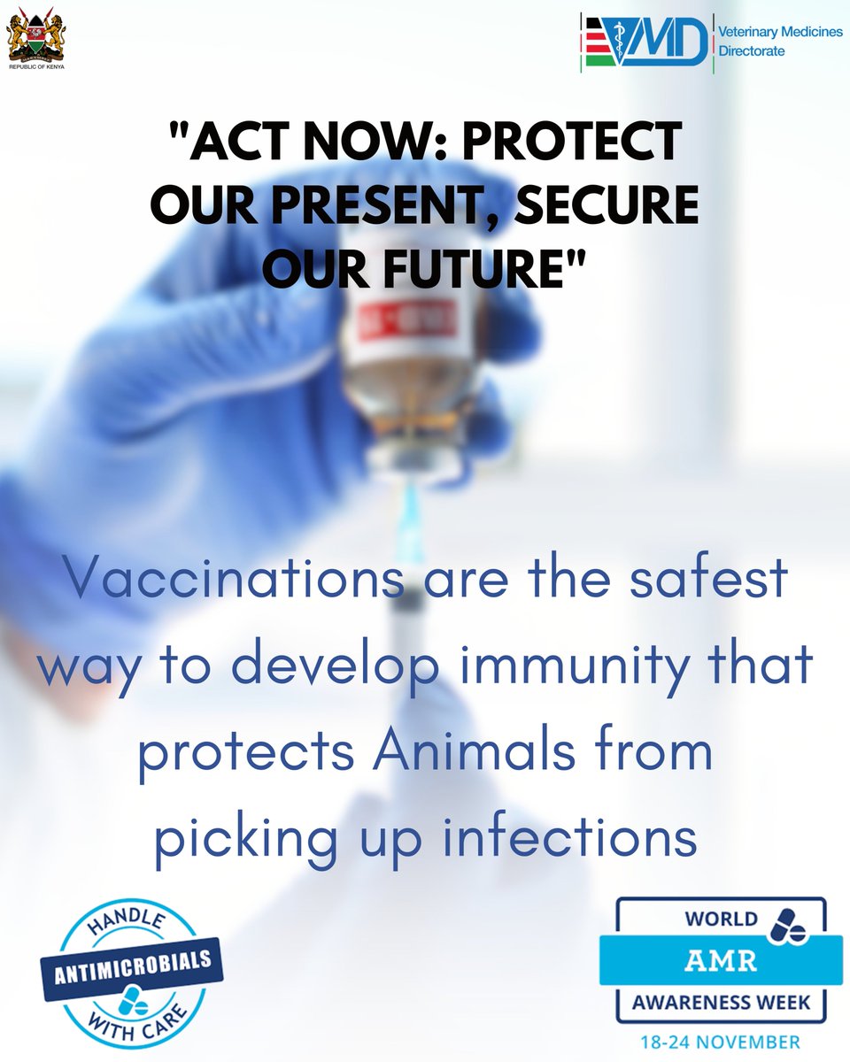 Vaccination is a key step in protecting animals from infections and reducing antimicrobial use. Act Now: Protect Our Present, Secure Our Future. #WAAW2025 #AMR #AnimalHealth #OneHealth #MbeereNorthDecides #RutosNewOrder Ruto The Fixer