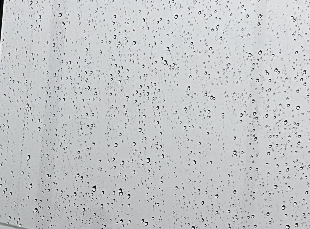 "Şu ömür dediğin şey savaştan kaçan Rum atlısı gibi, ne çabuk yol alıyor."

💬#HüseyinNihalAtsız