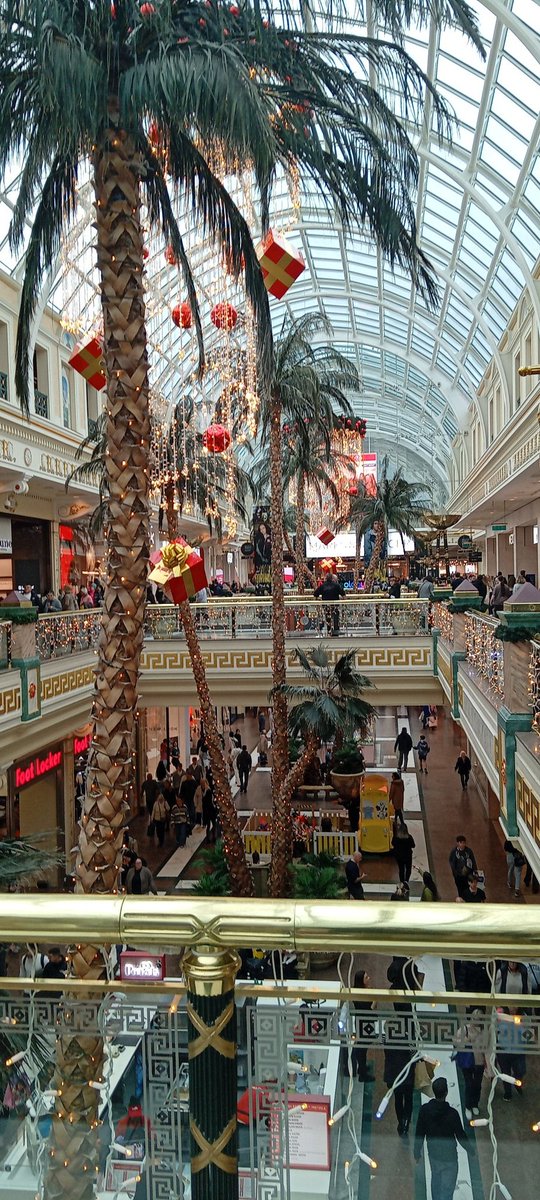 Paul Manc Bald and Bred tweet media