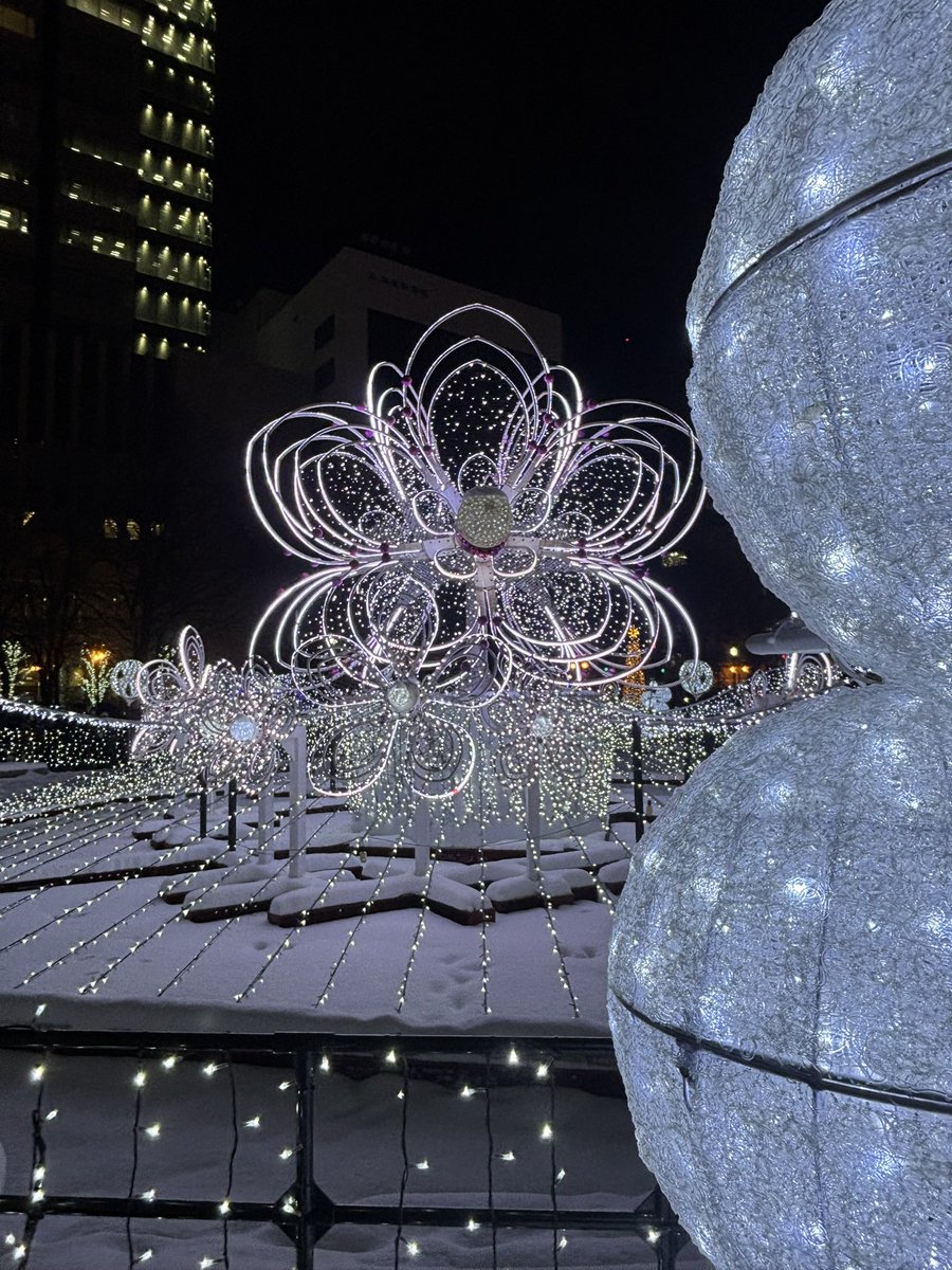 はるる🌸 (@haruru40056846) / Posts / X