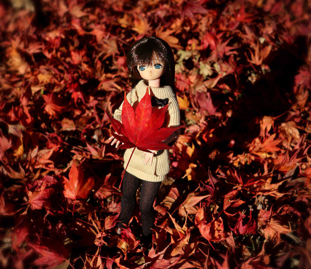 るる様 Z/X -Zillions of enemy X- NF DramaCD ⑨ 「13姉妹 雪月花」 | CD