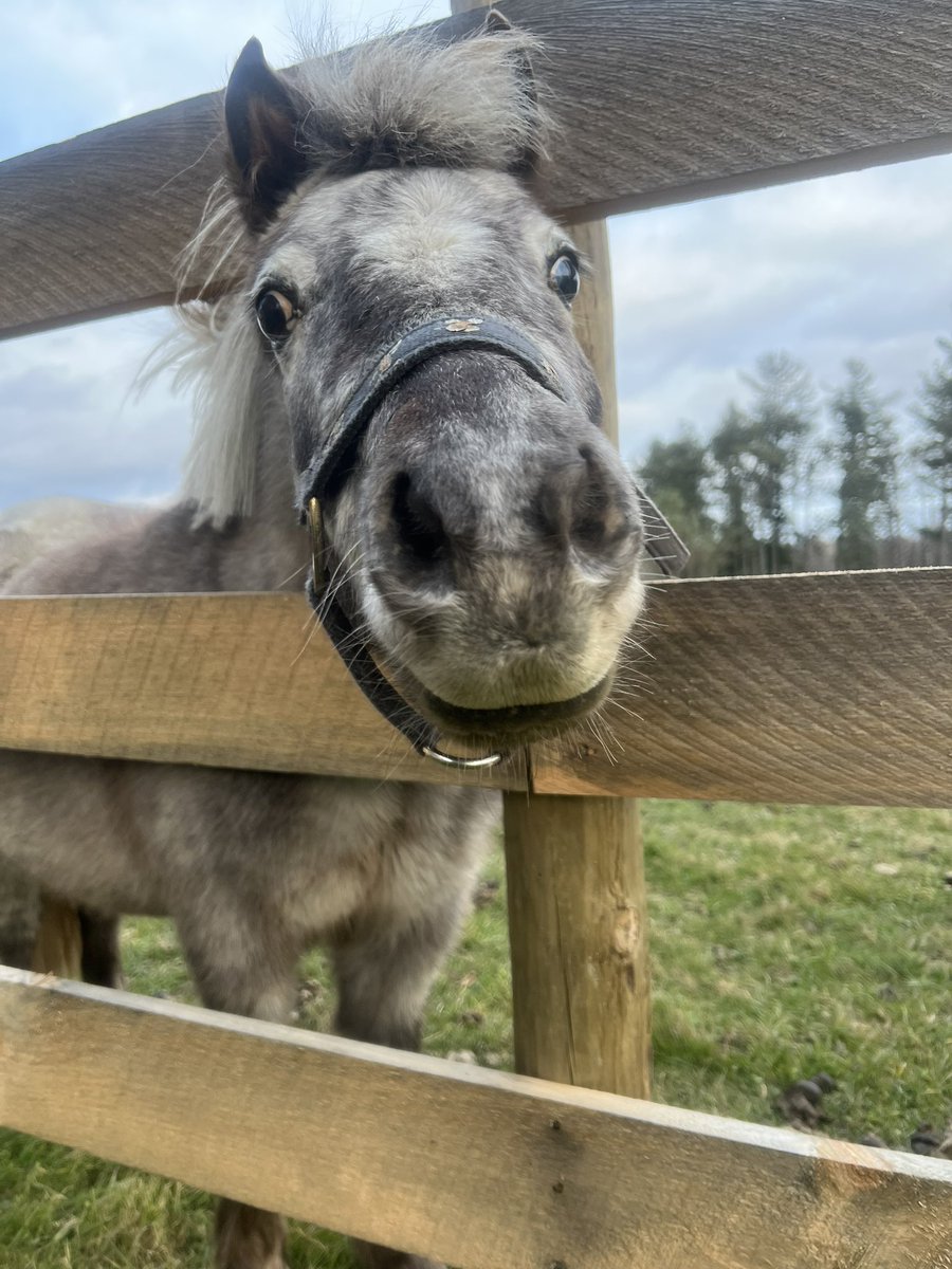 Jerry Connor tweet media