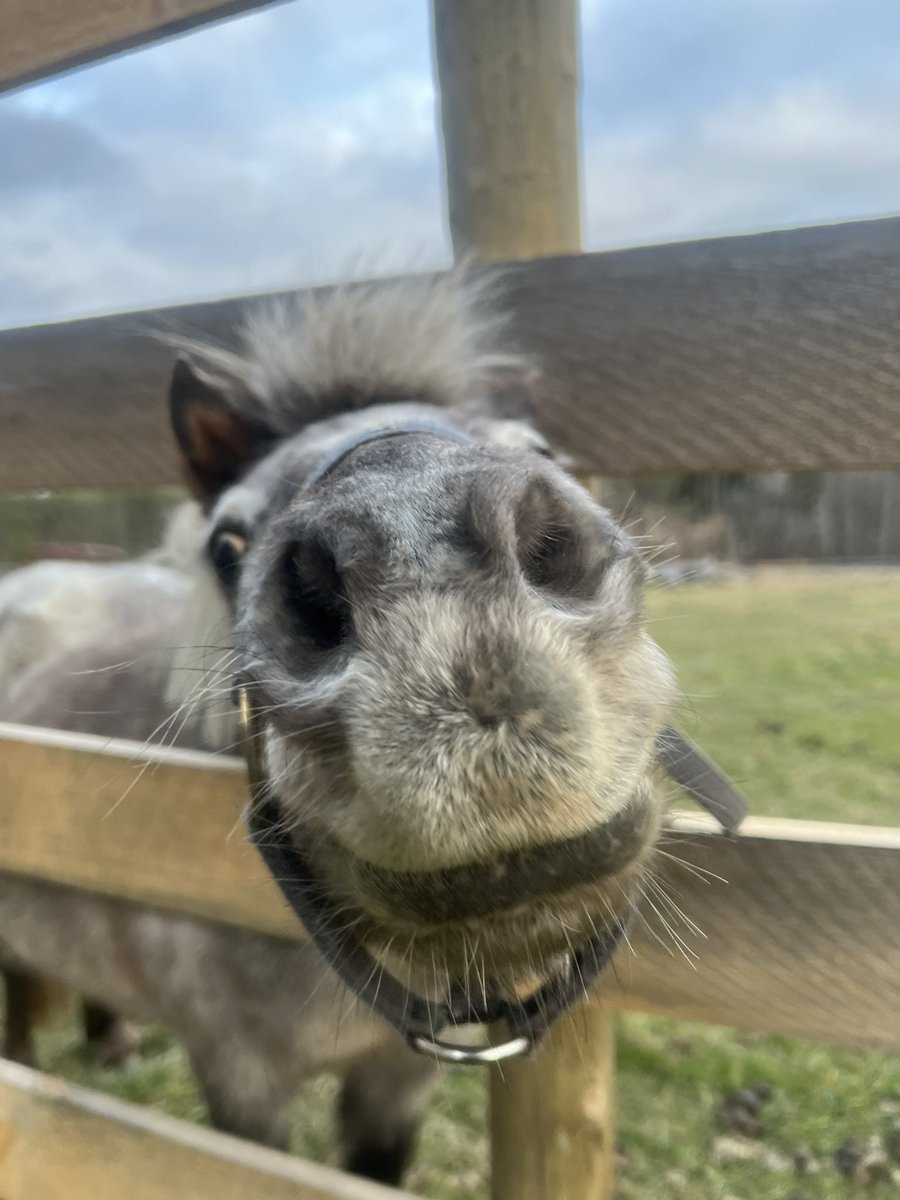 Jerry Connor tweet media