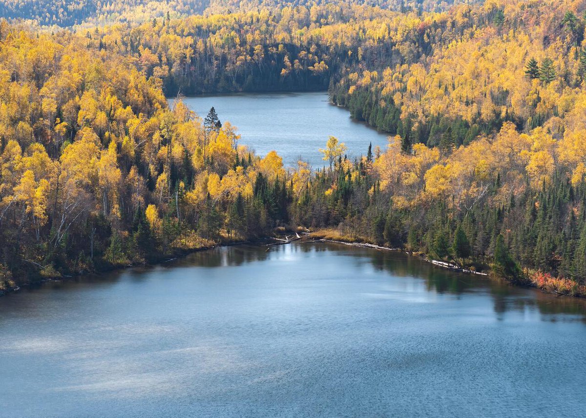 DocAtCDI's tweet image. Enjoy #OurEarthPorn!
(Steal This Hashtag for your own &amp;amp; join the community of Nature Addicts! )

Bear &amp;amp; Bean Lakes, Minnesota [OC] [4960*3543] 
Photo Credit: Yarinareth 
.