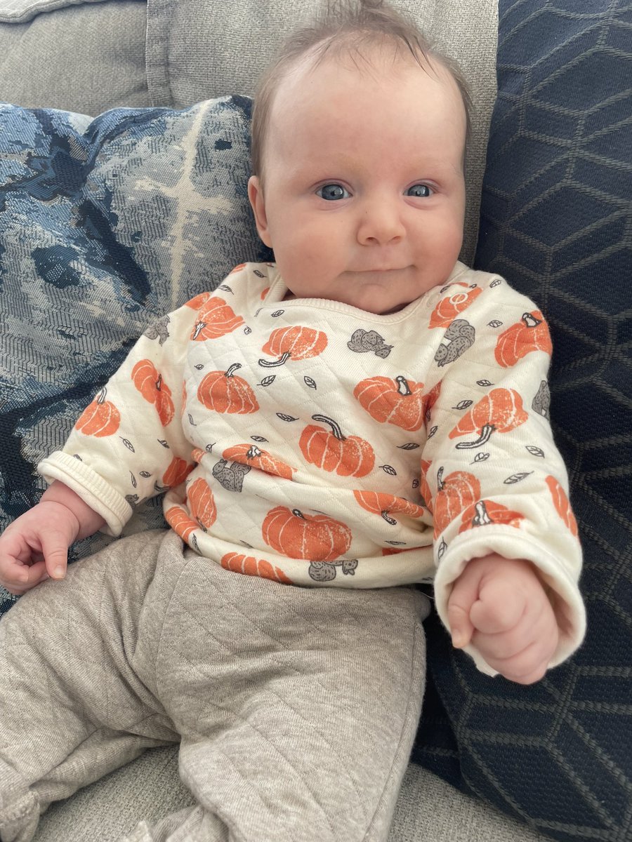 Nicholas Scaramazza tweet media