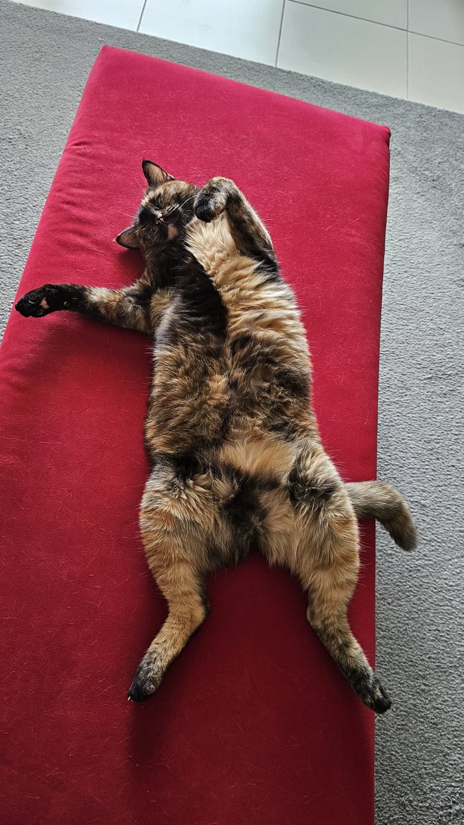 sertackes's tweet image. 5sene kesintisiz #turknet ten sonra ucuz diye #millenicom #netspeed #migrosnet #ttnet #netgsm aldım hepsi leş

Bölgenizde en iyi hangisiyse onu seçin
Bu kodla #turknet e abone ol  ilk ay bedava

QJT40UO74BCA
TTI96MV12PAD

#superonline #vodafonenet #fibimnet  #gibirnet  #dsmartnet