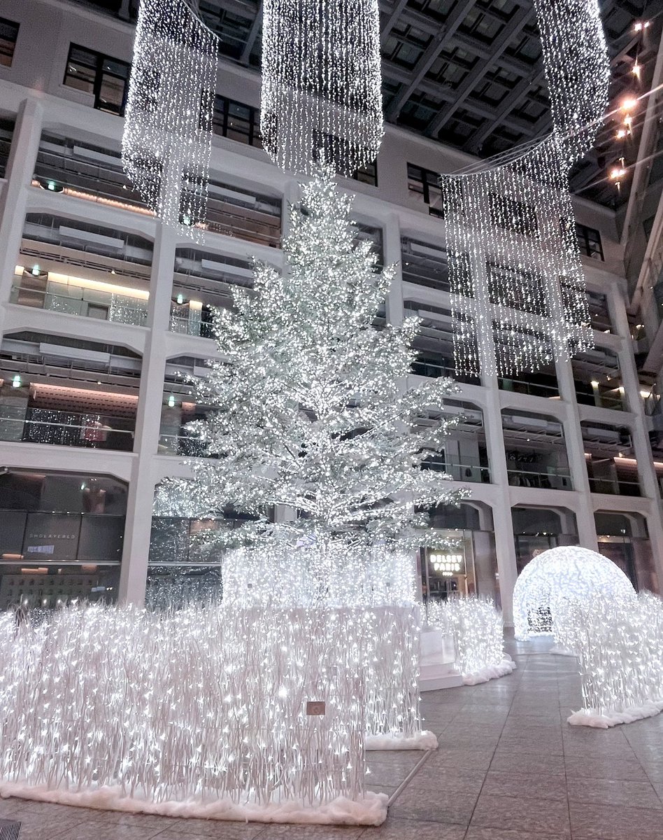 y_0o_k's tweet image. KITTE丸の内の中にある巨大ツリーが真っ白で夜は特に人も少なくておすすめフォトスポット🫧✨✨