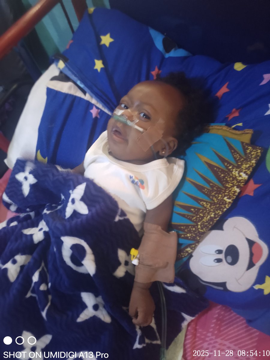 Avocado 🥑 tweet media