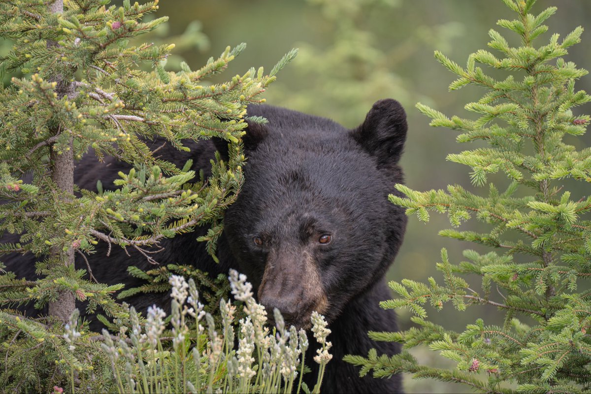 Jeremy Rand tweet media