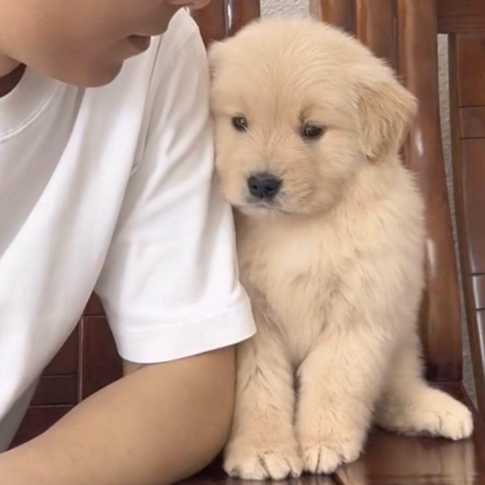 หงิง ( •̆ ̭ •̆ )