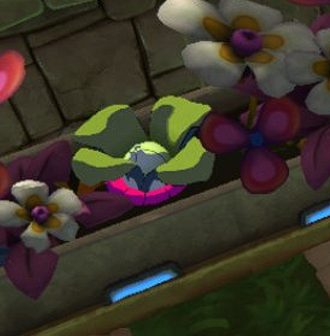 Animoooosity's tweet photo. @amiko_gg found ya, but when buff choy? https://t.co/c0NHfNRb4T