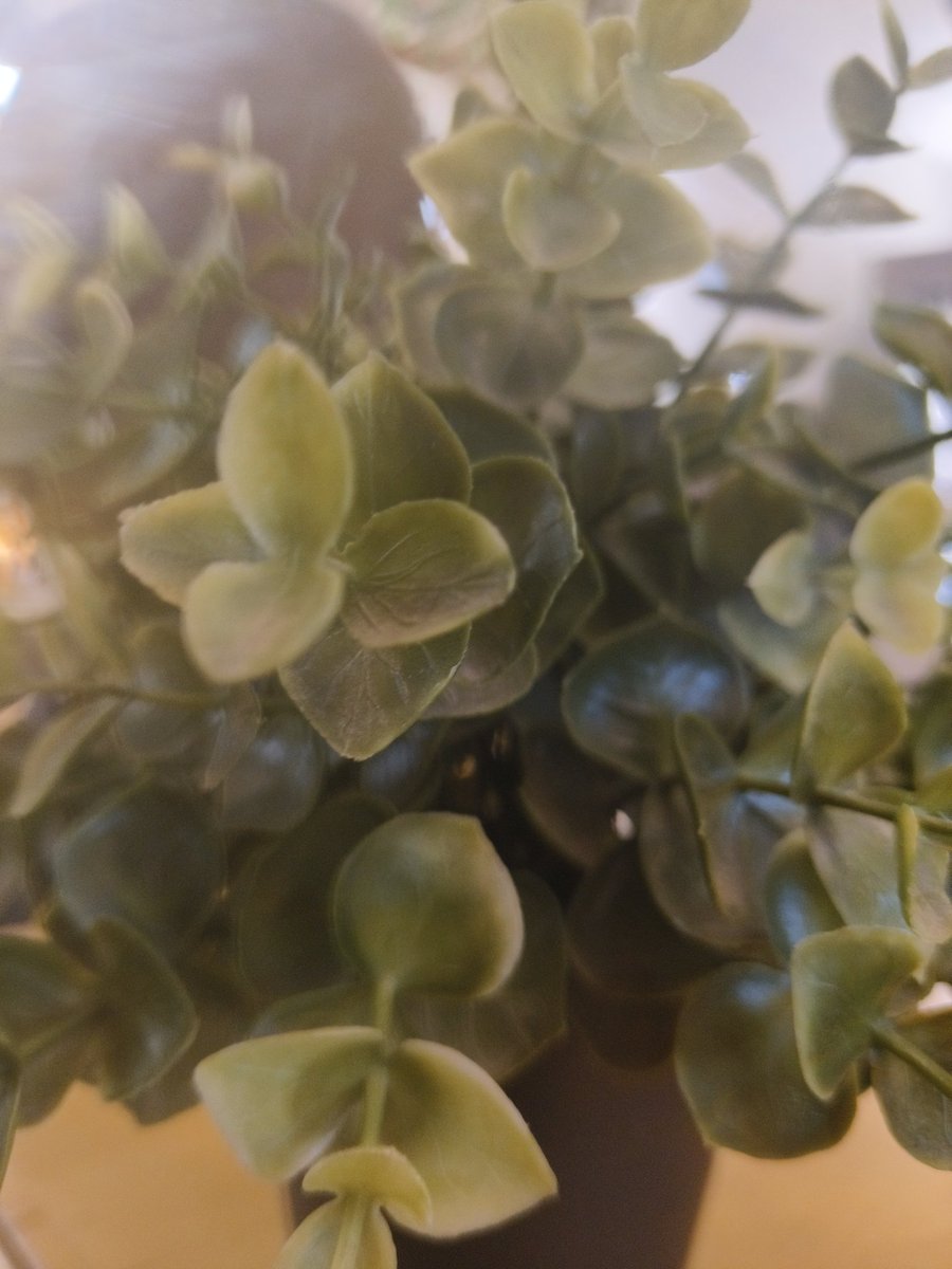 anujkumar_04's tweet image. आज यह पौधा देखा , अगर इस पौधे से एक पत्ती तोड़लो तो अगल बगल के पत्तियों को दर्द होता क्योंकि यह भी एक फैमिली के तरह रहते है। 
Do not pluck the leaves of trees . 

.
.
#savetrees #respect #india