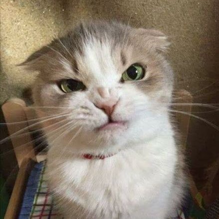 __ririchx's tweet image. 