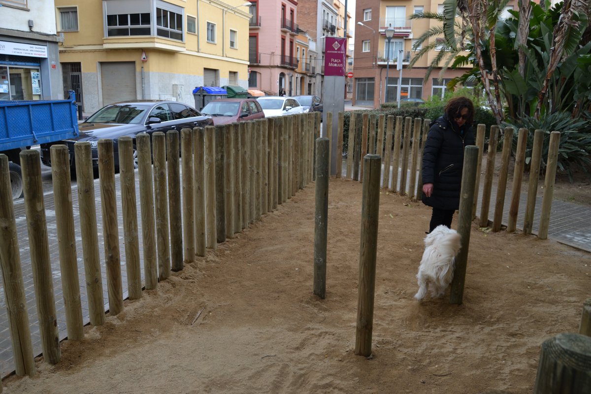 L’Ajuntament de Reus aclareix la nova normativa sobre miccions i defecacions d’animals a l’espai públic 🐶

La nova ordenança entrarà en vigor el 2 de gener de 2026.

ℹ️reus.cat/noticia/lajunt…