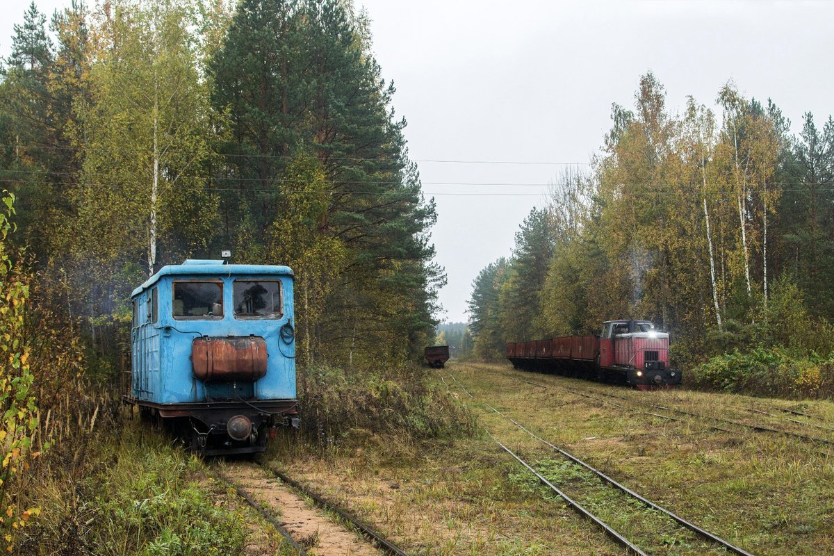 ЭСУ2А-568 и ТУ6А-2897, УЖД Кушаверского торфопредприятия, Новгородская область, 2024. Diesel locomotive ESU2A-568 and TU6A-2897 with a peat train, Kushaverskoye peat narrow-gauge railway in Novgorod Oblast, 2024. Photo: SergeyS.. #Russia #TU6 #ESU2A #ужд #узкоколейка