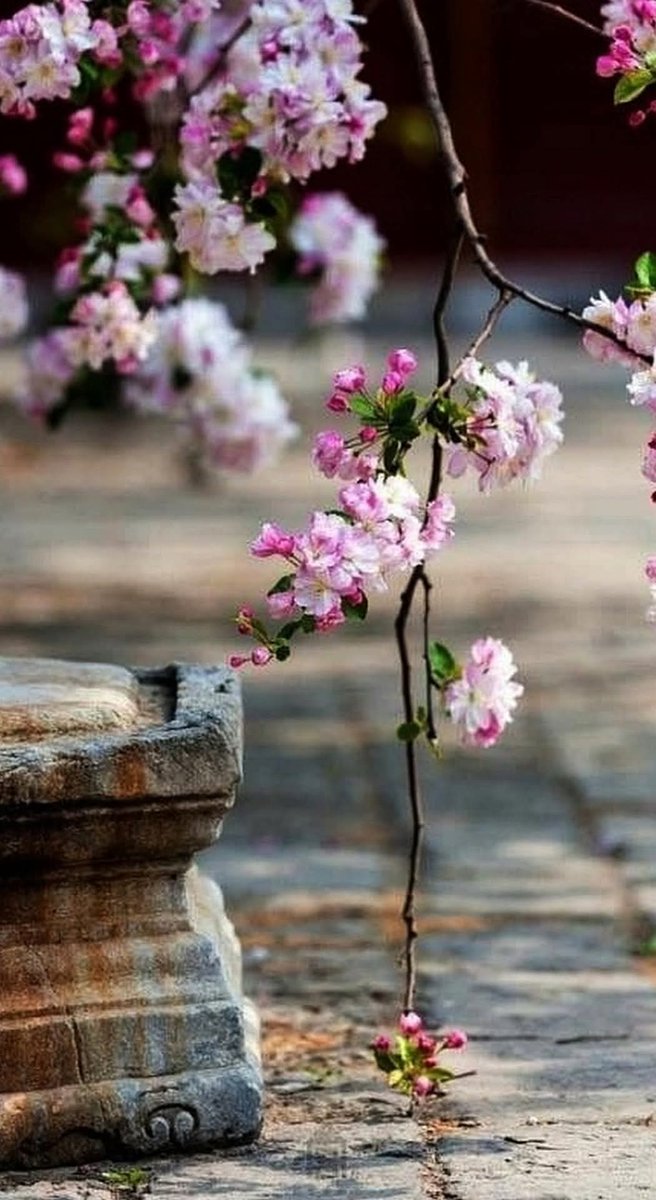 Нам всем нужен тот, кто понимает то, что мы не говорим...