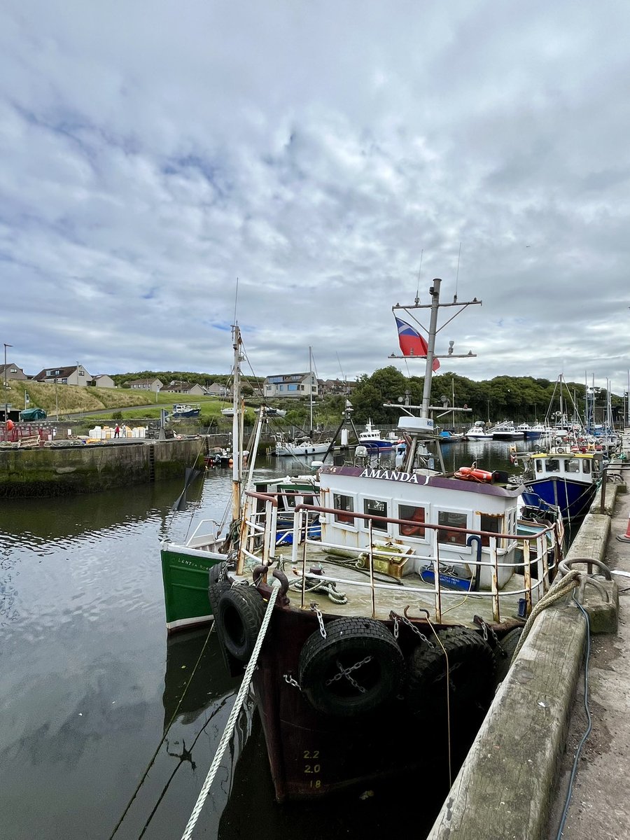 FloralRainbowAW's tweet image. For #WeekVForVowels #AlphabetChallenge 
E = Eyemouth 🏴󠁧󠁢󠁳󠁣󠁴󠁿