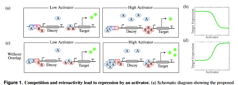 Olivier Borkowski tweet media