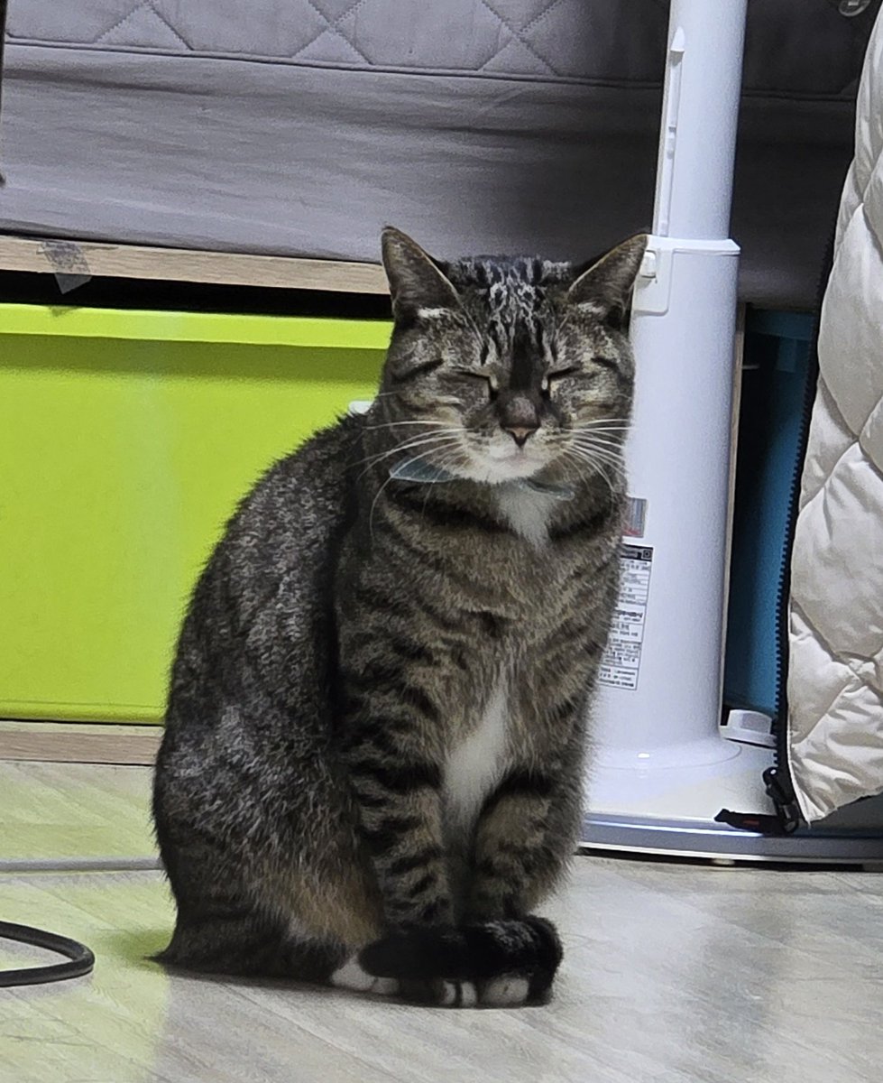 탐라의 이모 삼춘 리춘 함모니 하라버지 언니 오빠 동생들 모두 잘자오. 마리네는 아빠 눈 때문에 큰일이 났나봐요. 옴마가 전화받고 놀라서 뛰어나가더니 아빠 수술날 잡고 왔대오. 수술은 오래 안걸리는데 회복하려면 한달 걸려서 옴마가 너무 속상해해오. 힝구.. 마리 하투에오. ❤️‍🔥❤️‍🔥❤️‍🔥❤️‍🔥❤️‍🔥❤️‍🔥❤️‍🔥❤️‍🔥❤️‍🔥