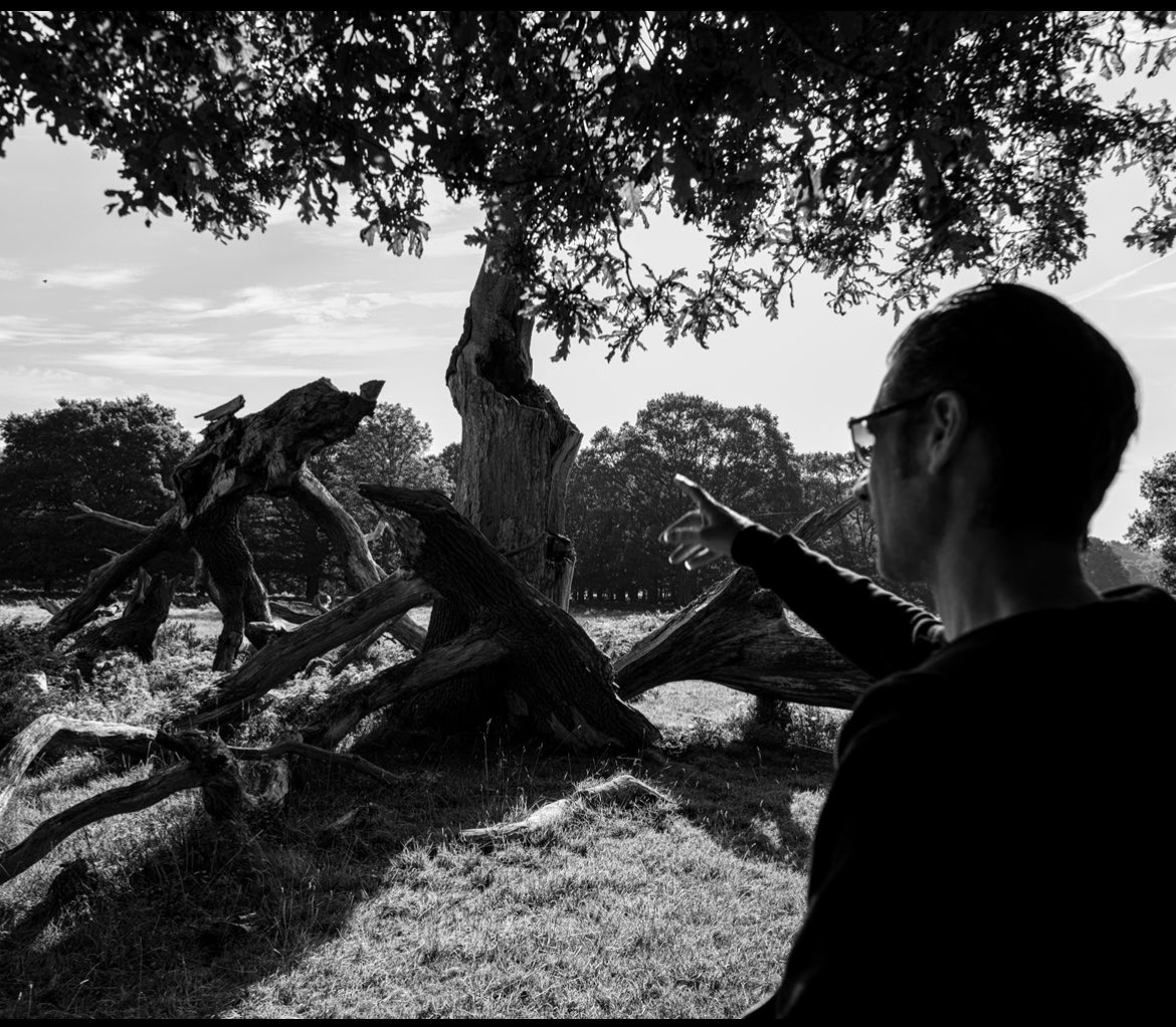 4years ago visiting the ancestors of my guitars 🤘🏻🎸

📷 Photo Credit <a href="/Katevcarpenter/">Kate Carpenter (she/her)</a> 

#ancestors #guitars #nature #guitarist