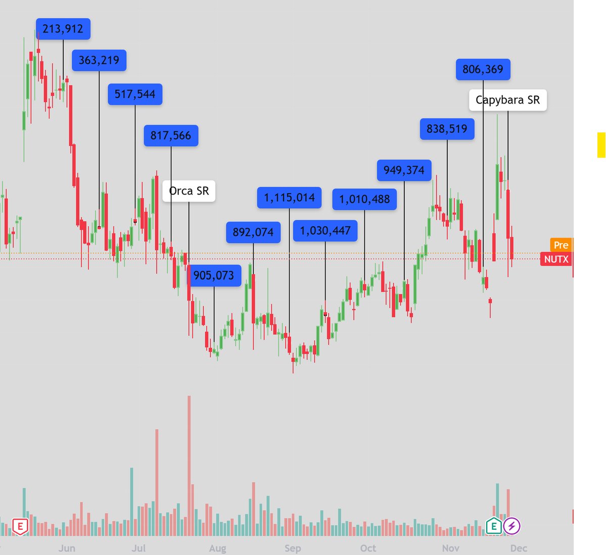 MonkeyCap tweet media